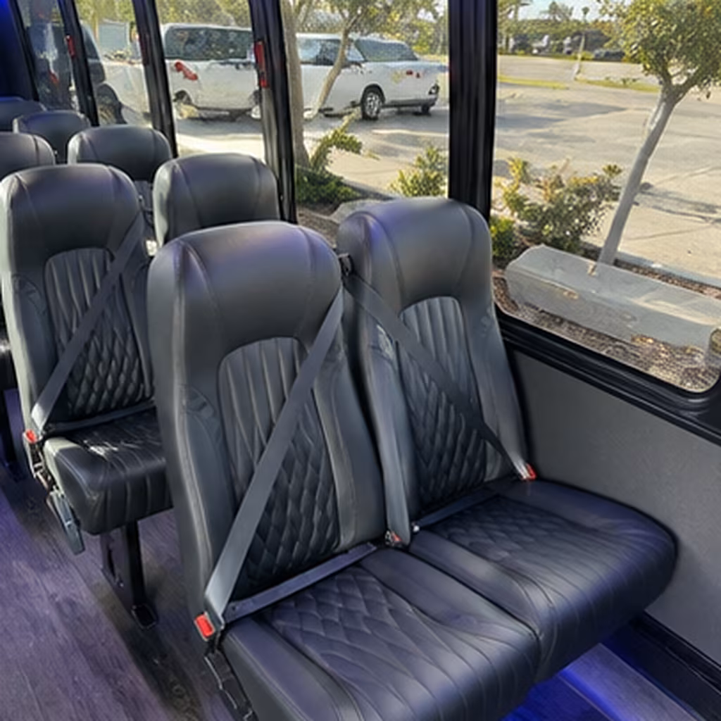 round rock birthday party transportation onboard seating