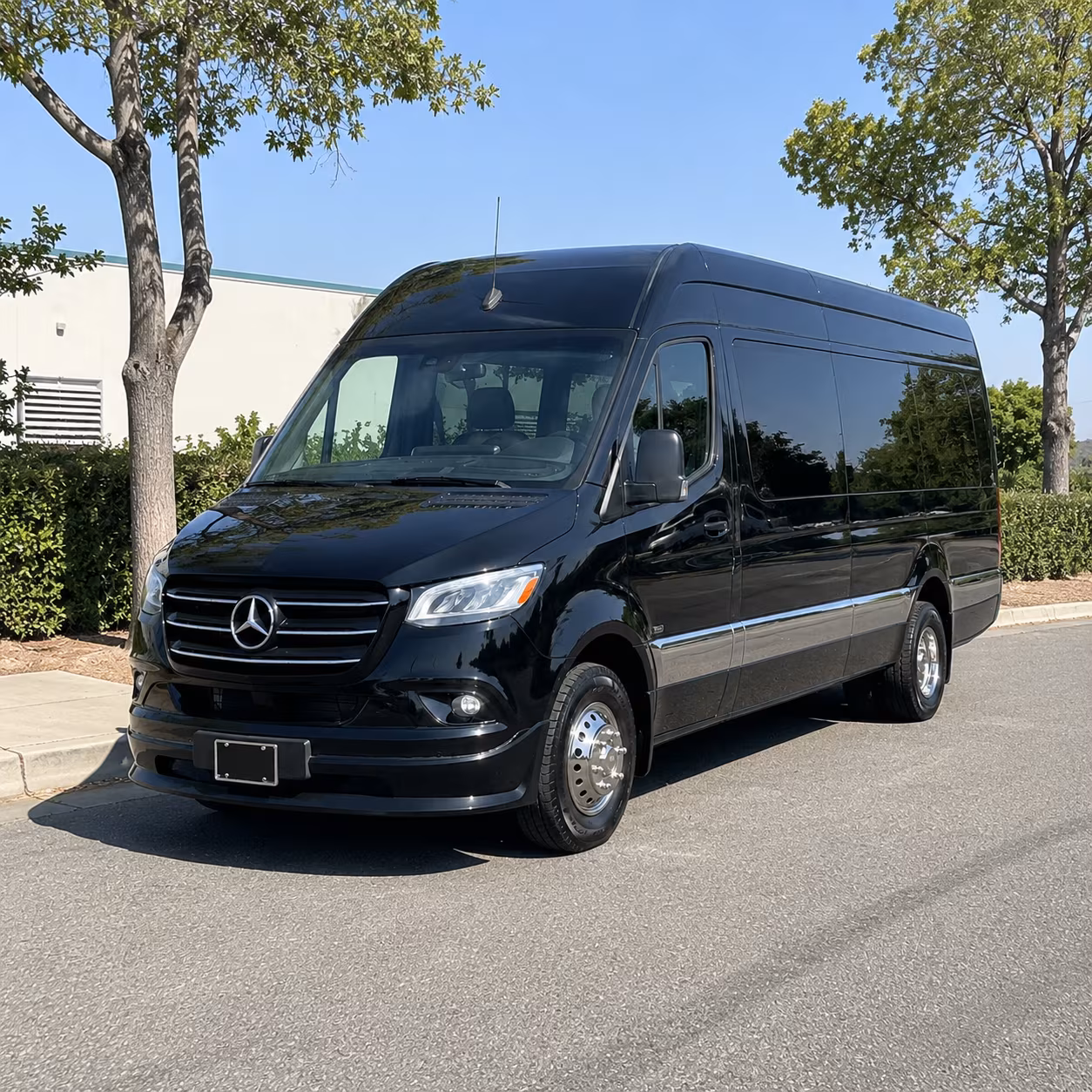 round rock sprinter van with driver